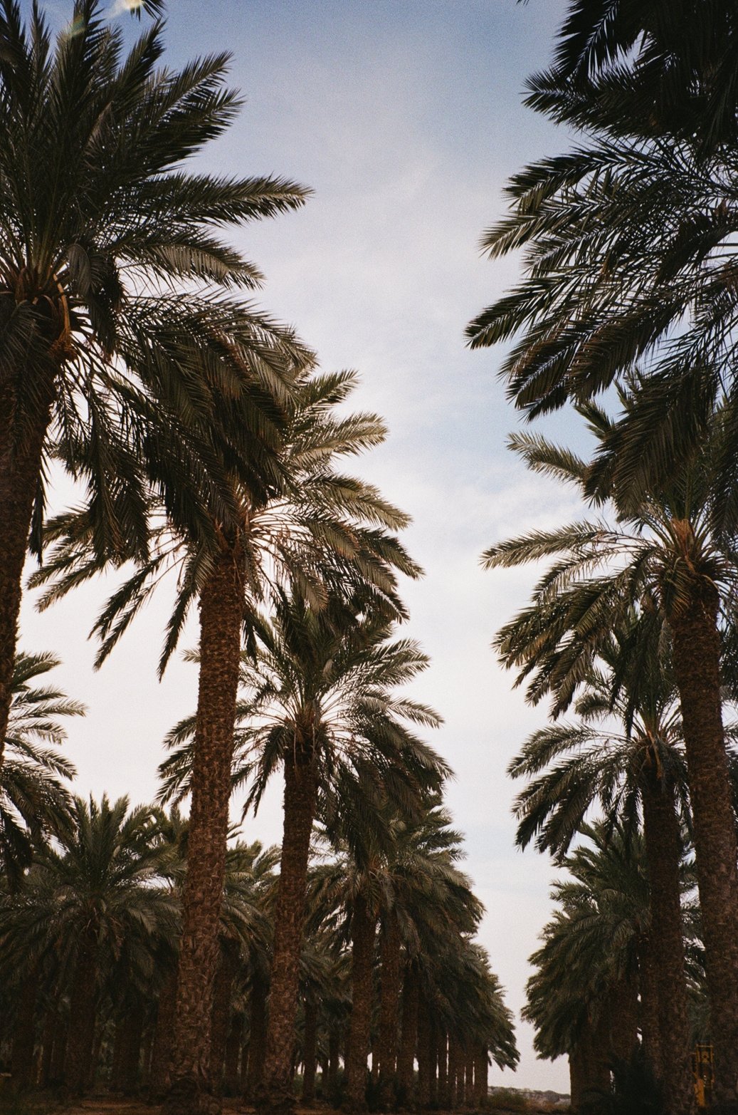 Arava, photograph